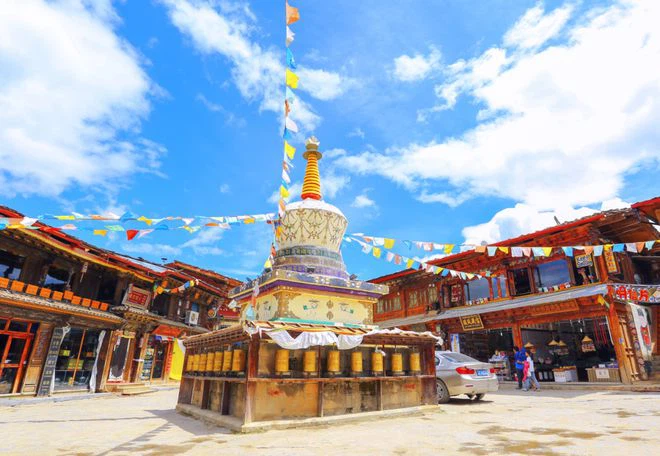 mushroom in brine in drums