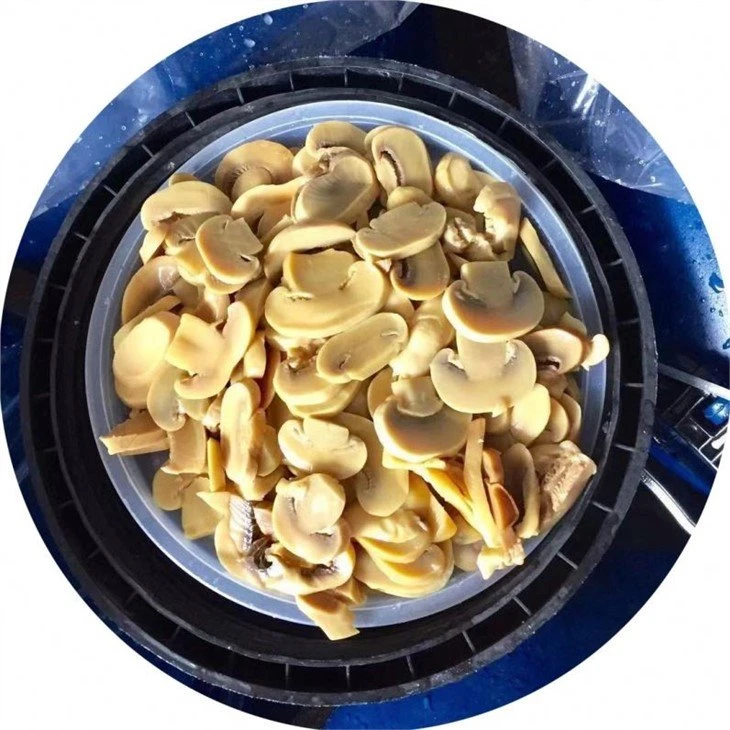 Sliced champignon mushroom in salted water in drums
