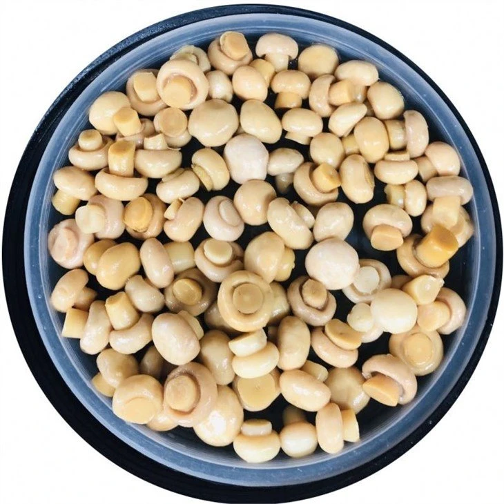 Pickled white mushroom in drums
