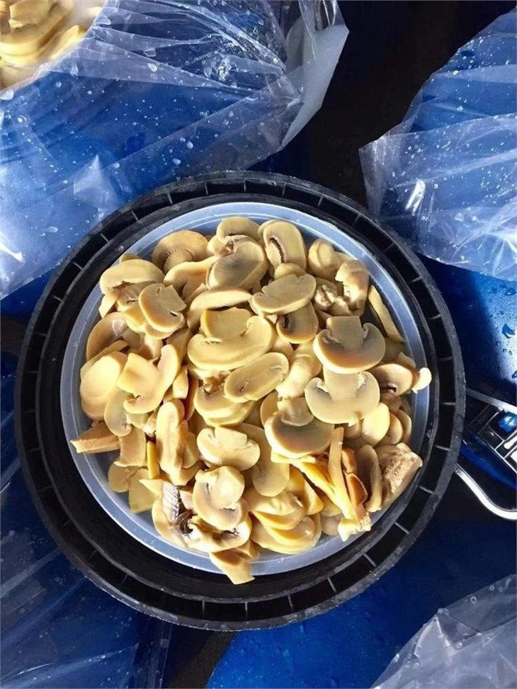 Preserved slices white mushroom in drums