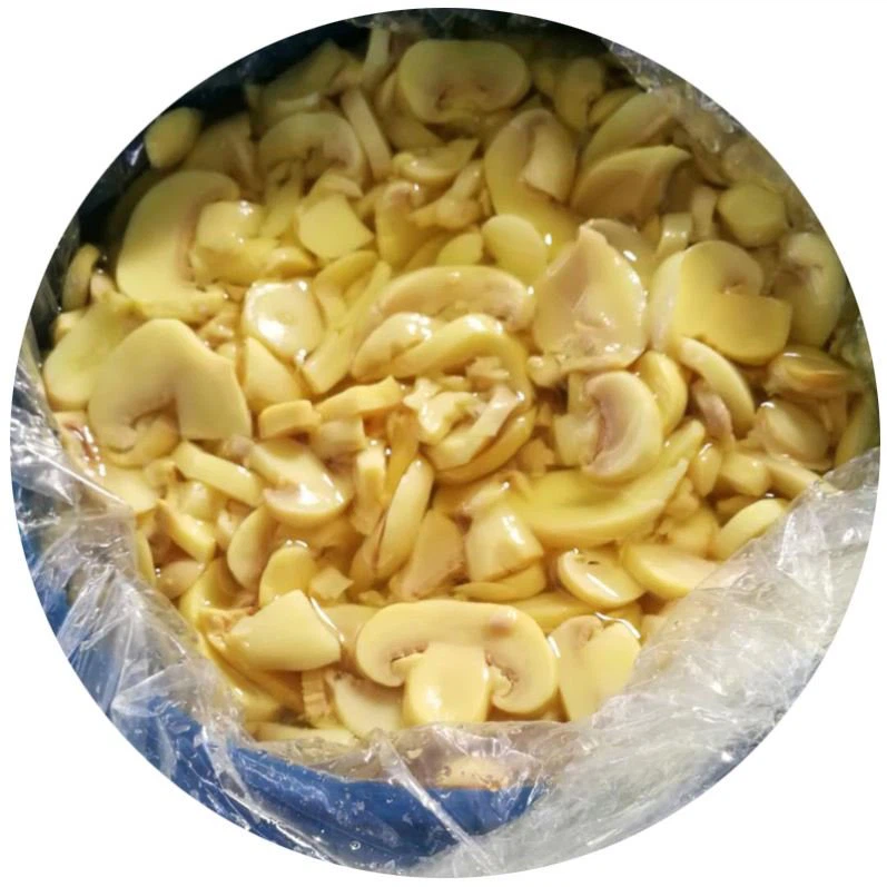 Fresh Mushroom Whole in Drum in Plastic Bucket