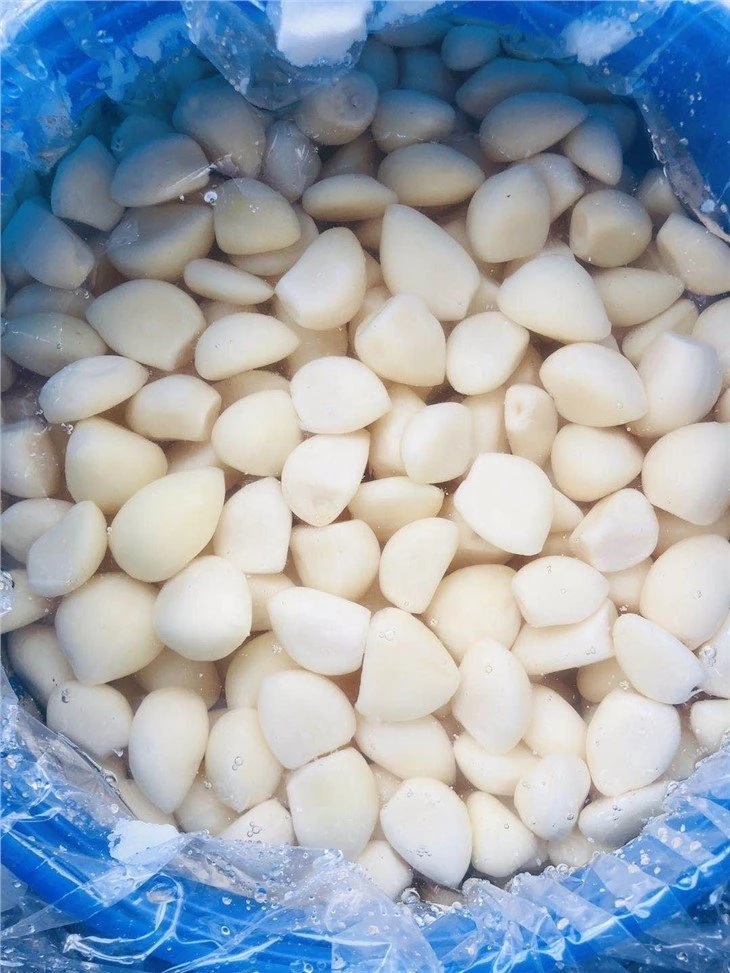 Marinated white garlic cloves in brine in drums