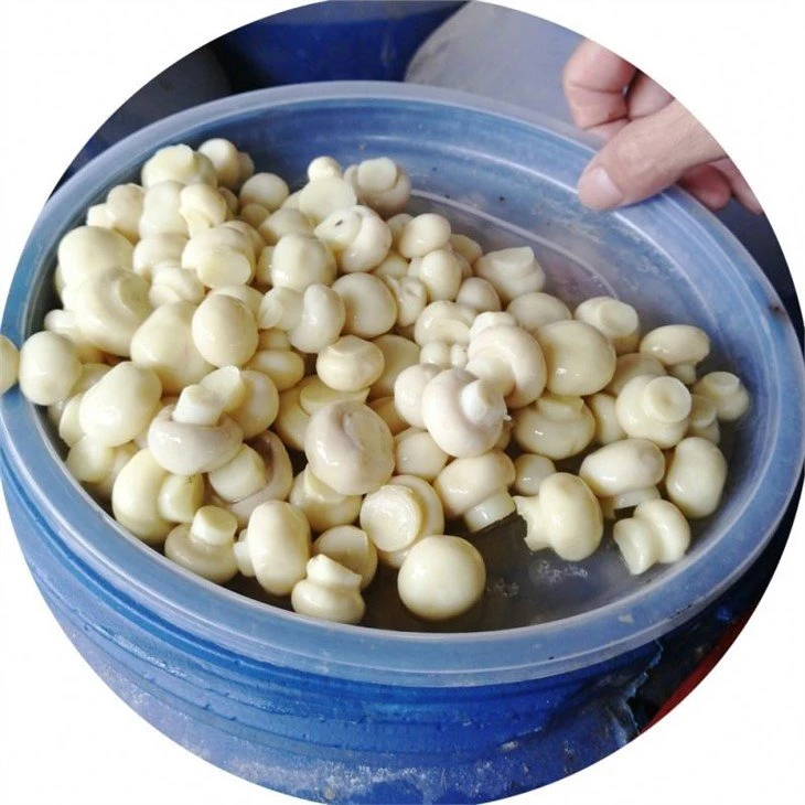 good taste marinated champignon mushroom in glass jars