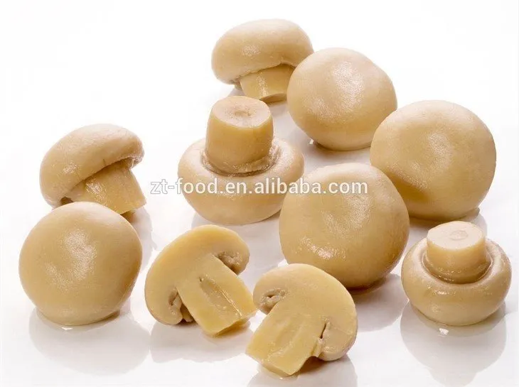 White champignon in brine in drums