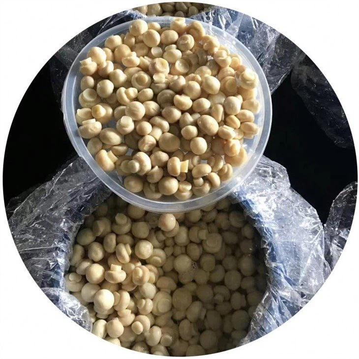 Pickled white mushroom in drums