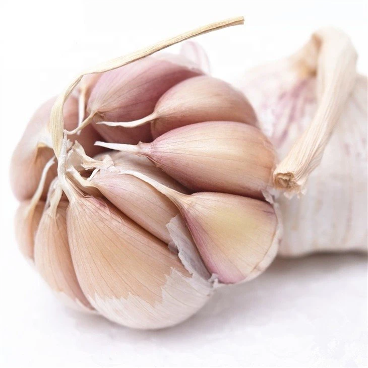 Fresh white garlic cloves in brine in drums