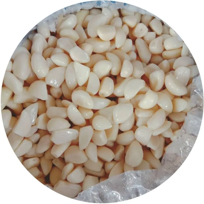 Salted Garlic in Brine in Drums