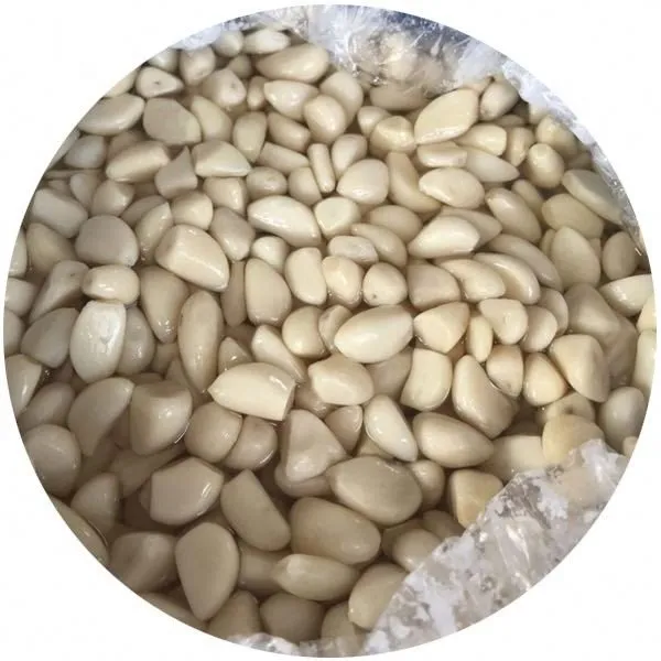 Salted white garlic in brine in barrel