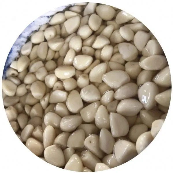 Peeled white garlic in drums