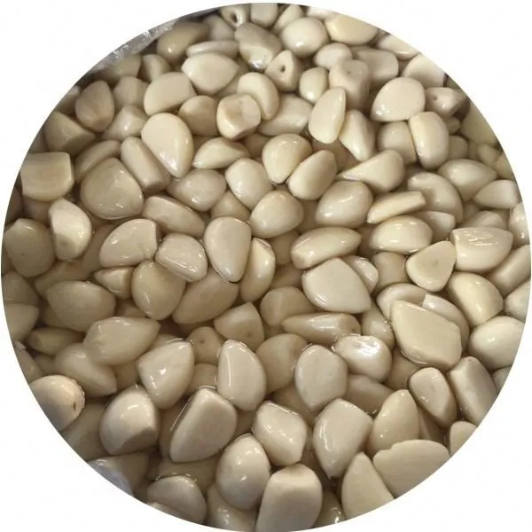 Preserved white garlic in salty water in drums