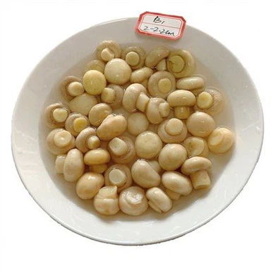 50kg Brine Mushroom in Drum