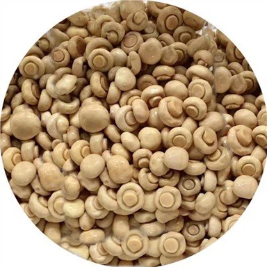 Brined Mushroom in Drum