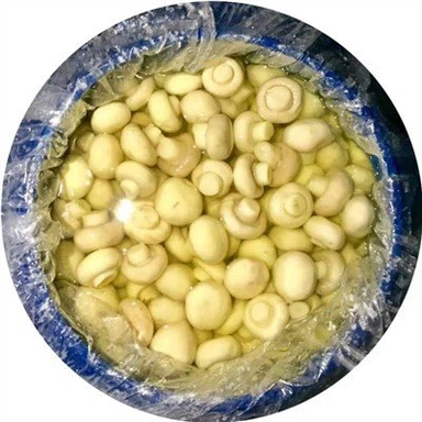 Preserved Mushroom in barrel factory direct
