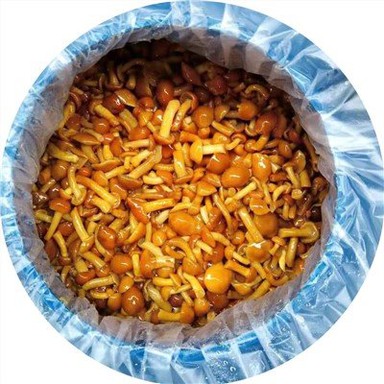 Nameko Mushroom in Drum