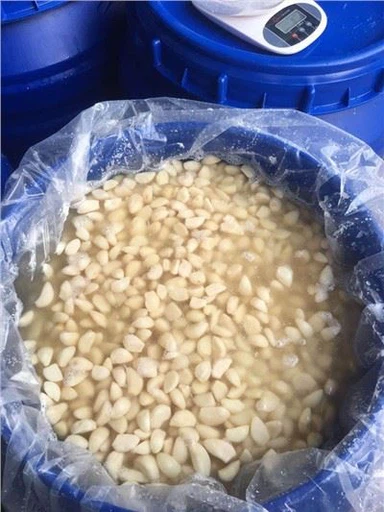 Peeled White Garlic in Brine in Drums