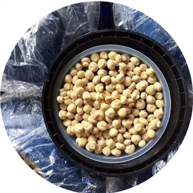 Preserved Whole Champignon Mushroom in Vinegar