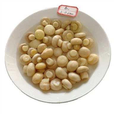 Salted Mushroom in Drum