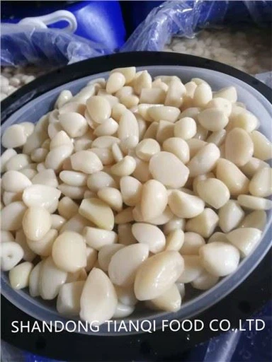 Salty Garlic in Brine in drums