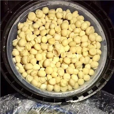 Whole Champignon In Vinegar In Drum