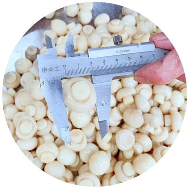 Whole Mushroom in Brine in Drum