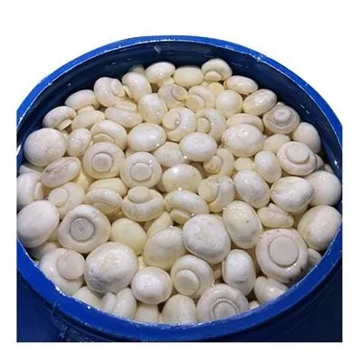 Whole Mushroom in Plastic Drums