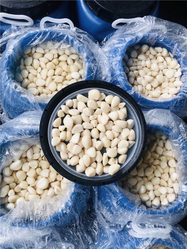 Peeled Garlic in Brine in drums