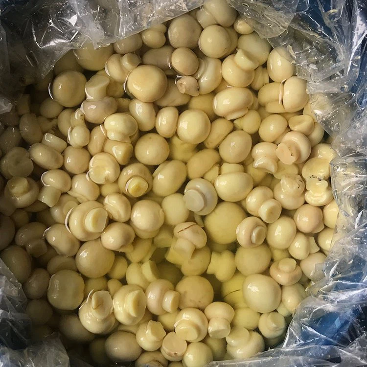 Whole Button Mushroom in brine in Drums