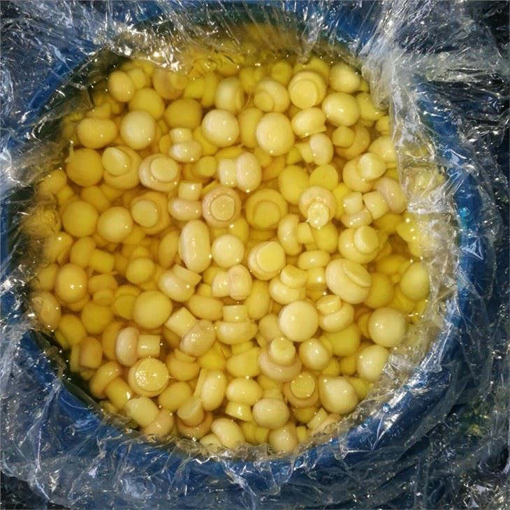 1.5-2.0CM WHOLE mushroom in SO2 in drums