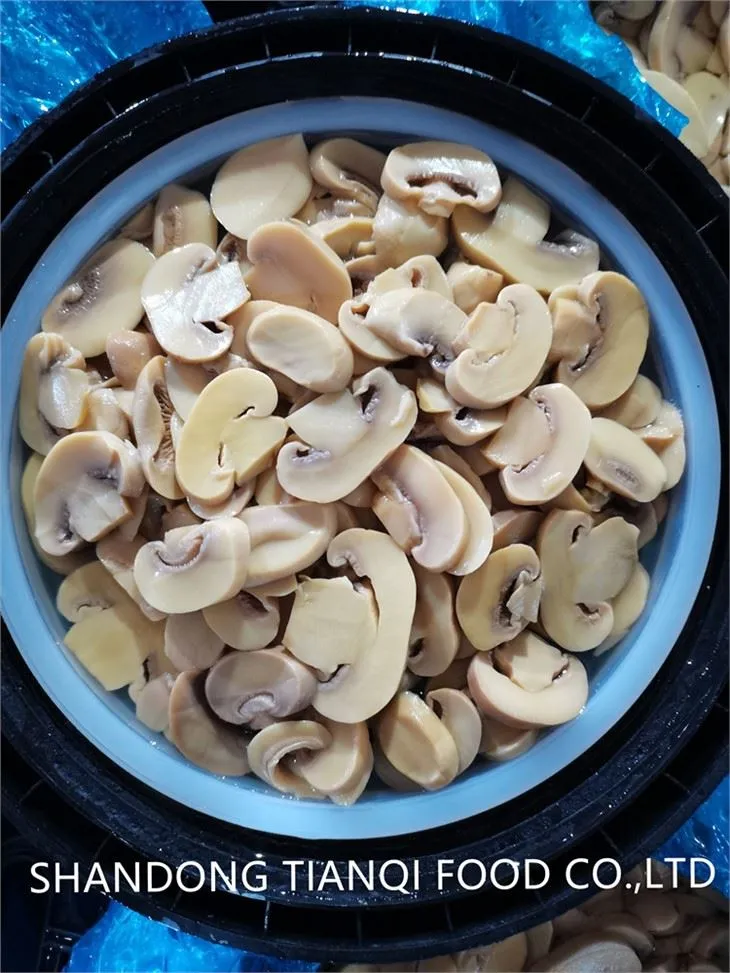 Champignon Mushroom Slice in SO2 in Drums