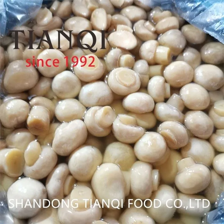 Cultivated White Mushroom in Vinegar in Drums