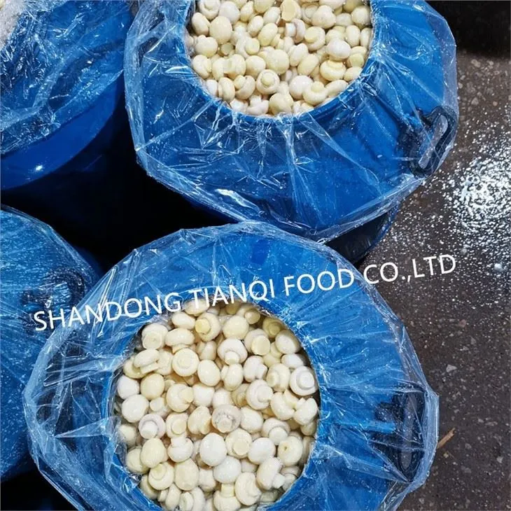 Cultivated White Mushroom in Vinegar in Drums