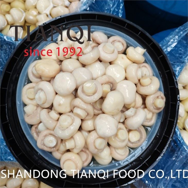 Pickled white champignon in drums