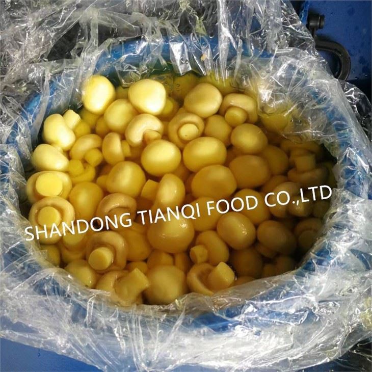 High Quality Mushroom in SO2 in Drums