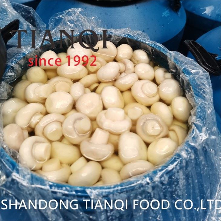 Whole White Mushroom in brine in Drums