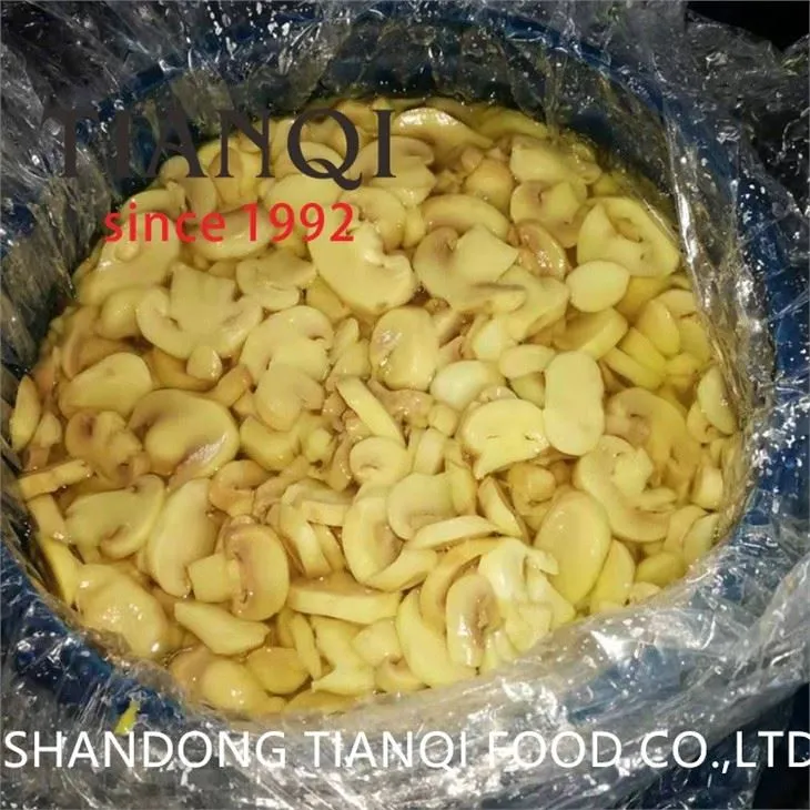 Cultivated white button mushroom in drums