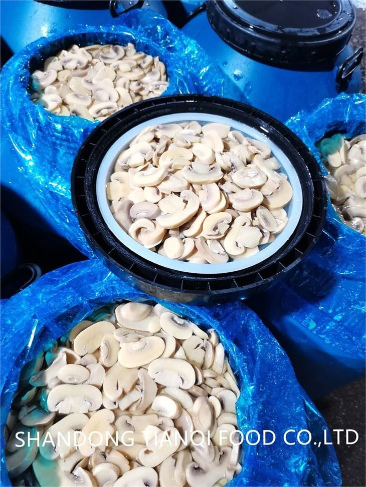 Salted Champignon Mushroom in Drum