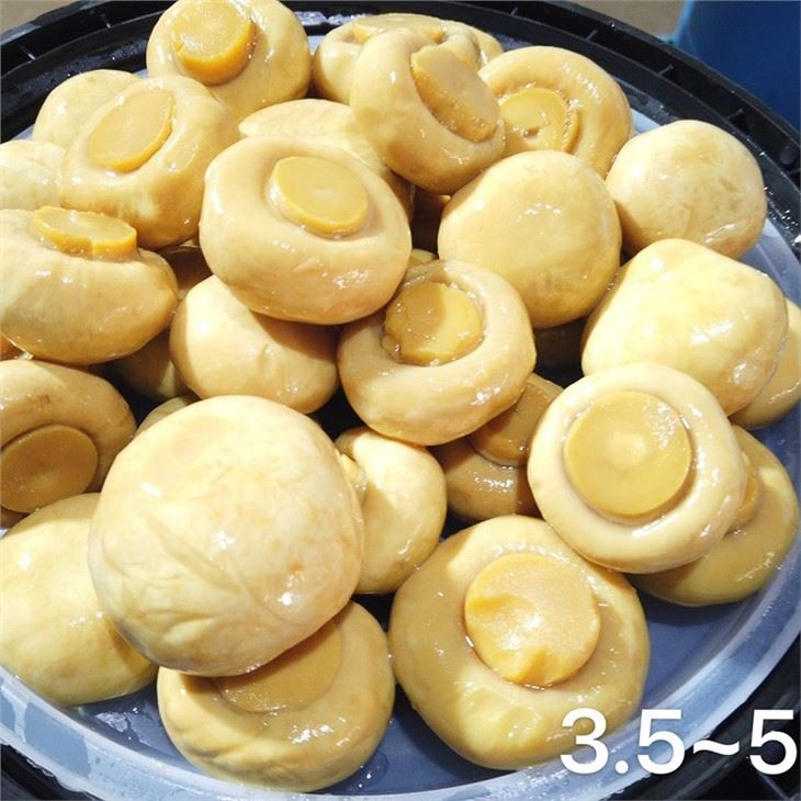 Salted Whole White Mushroom in Plastic Drum