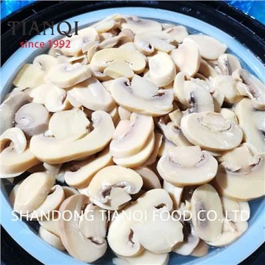 Chinese Wholesale White Mushroom in Brine in Drums
