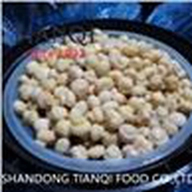 Fresh white Mushroom in Brine in drums