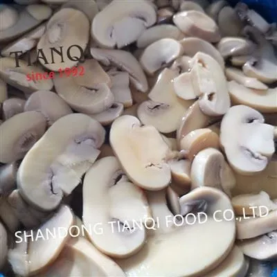 Drum Packing White Mushroom in Brine
