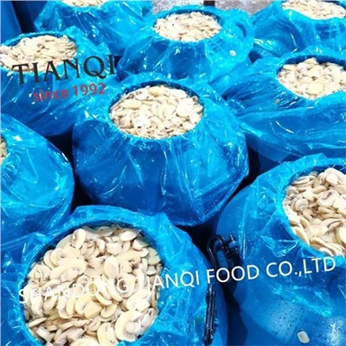 Fresh Cultivated Mushroom in Vinegar in Drums