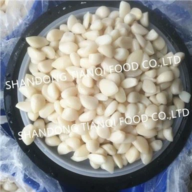 Normal White Garlic Peeled in Brine in Drums