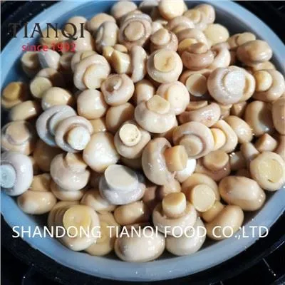 Whole White Champignon Mushroom in Brine in Drums