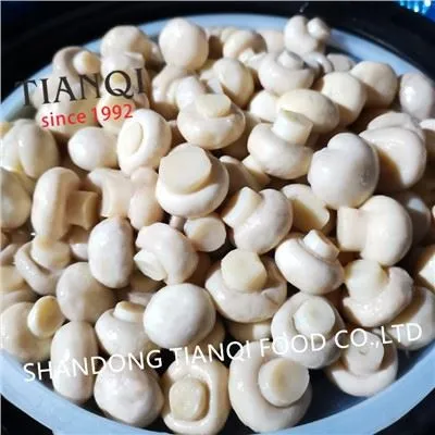Factory Whole White Mushroom in Vinegar in Drums