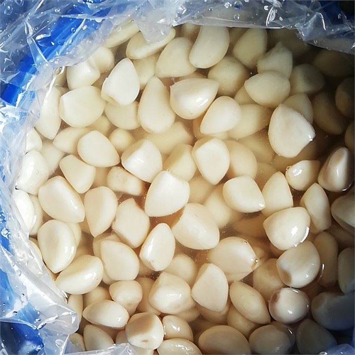 White Garlic in Brine in Drums 20-26 Brix