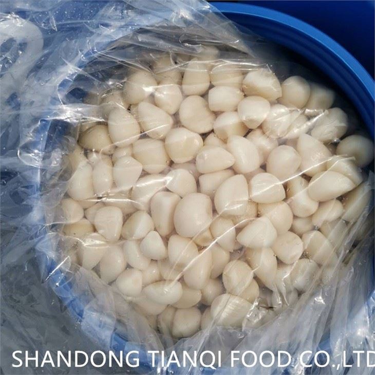 Pickled white garlic in salted water in drums
