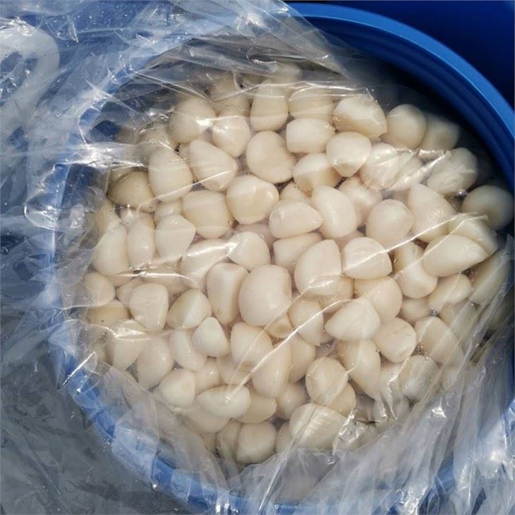 Chinese white garlic in brine in drums