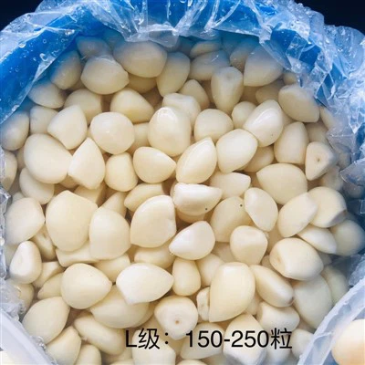 2025 New Crop White Garlic Cloves in Brine in Drums