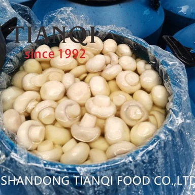 Cultivated Whole White Mushroom in Brine in Drums