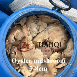 5-8CM Oyster Mushroom in Brine in Drums